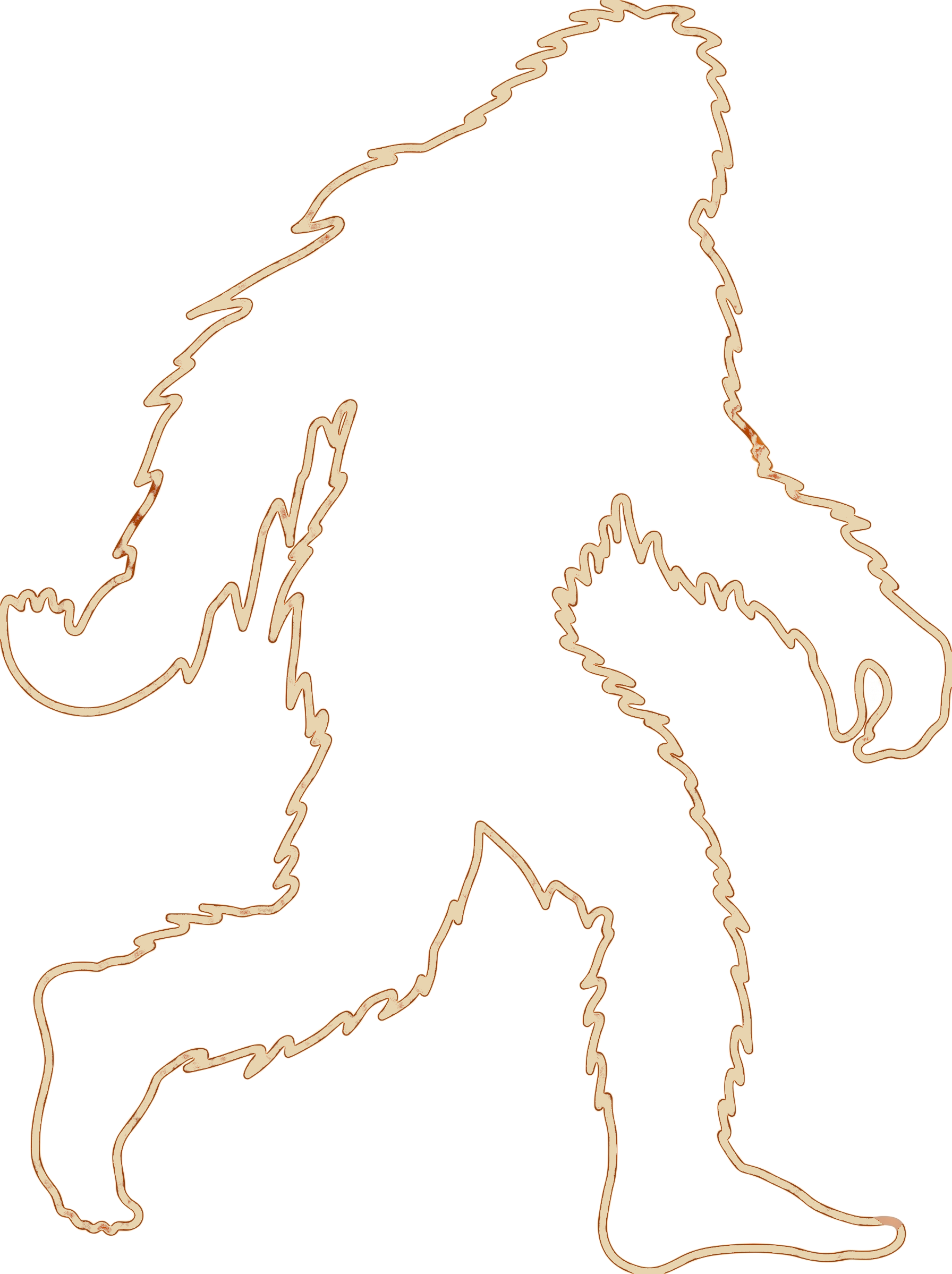 Sasquatch Firewood logo